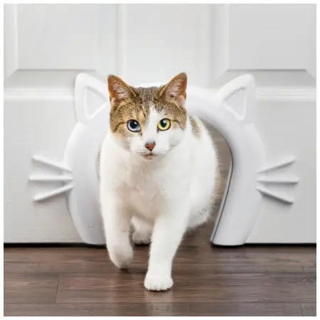 Klicka för större bild