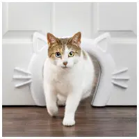 Dekorativ kattpassage för dörr