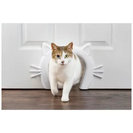 Klicka för större bild