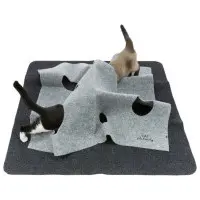 Cat Activity Adventure Carpet