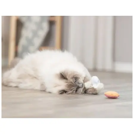 Klicka för större bild