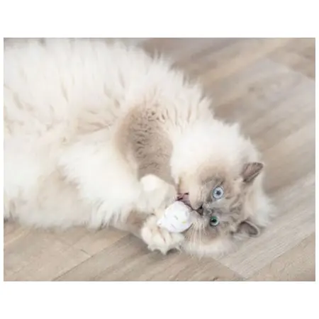 Klicka för större bild