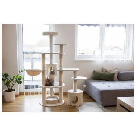 Klicka för större bild