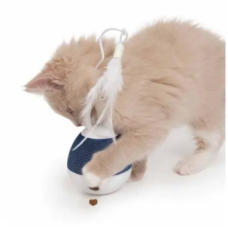 Klicka för större bild