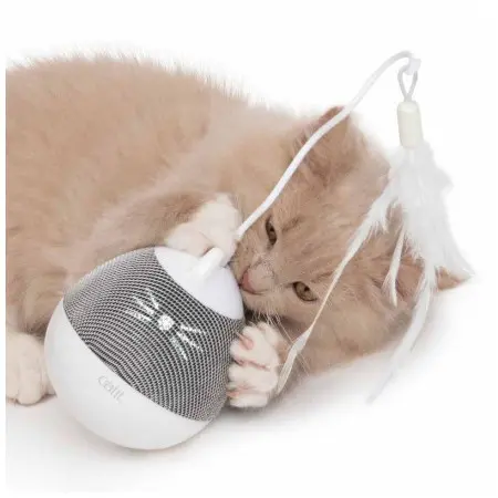 Klicka för större bild