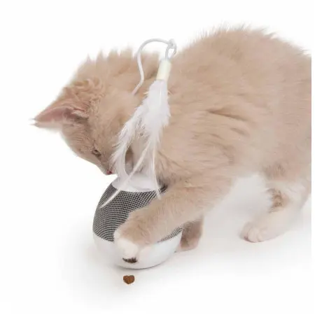 Klicka för större bild