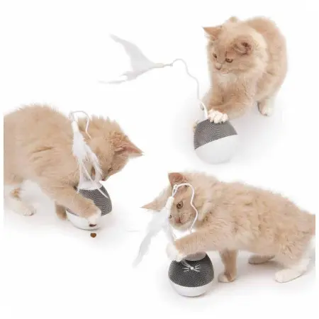 Klicka för större bild