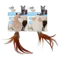 AFP Feather Tailed Mouse