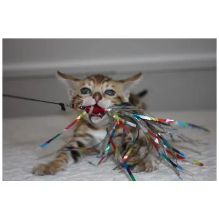 Klicka för större bild