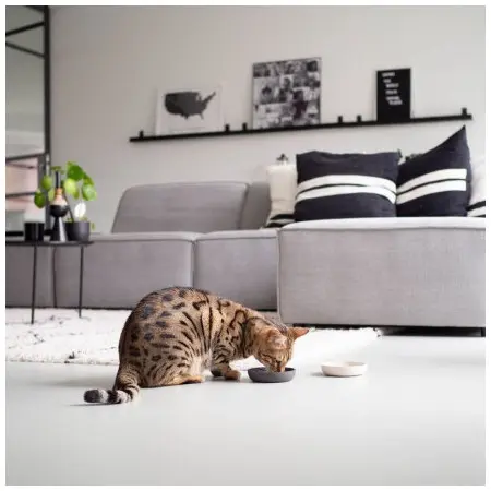 Klicka för större bild