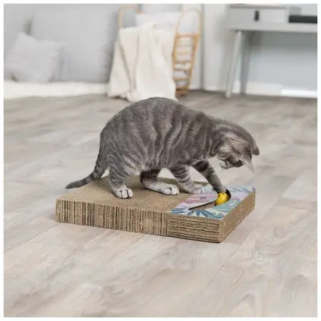 Klicka för större bild