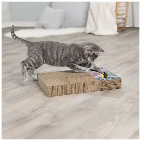 Klicka för större bild