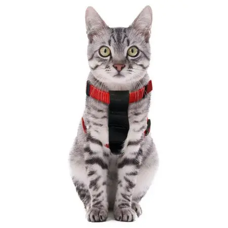 Klicka för större bild