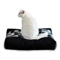 PADI modern catbed svart