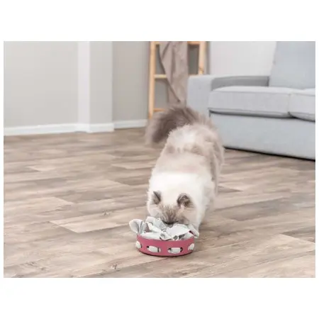 Klicka för större bild