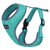 Rukka Laser mini Harness Turquoise XS