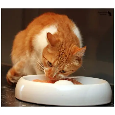 Klicka för större bild