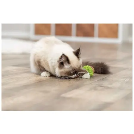 Klicka för större bild