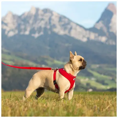 Klicka för större bild