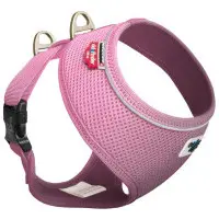 Curli Basic Air Mesh Pink Strl XS