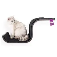 Katthylla Scratch Wenge