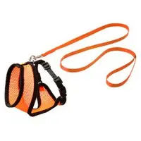 Original Harness Orange strl Medium