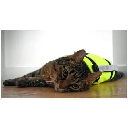 Klicka för större bild