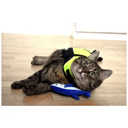 Klicka för större bild