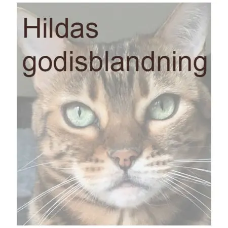 Klicka för större bild