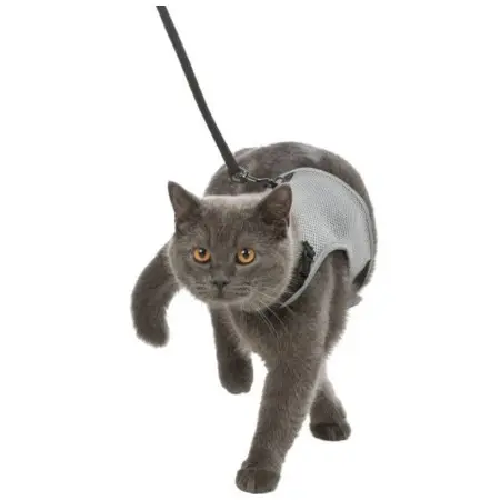 Klicka för större bild