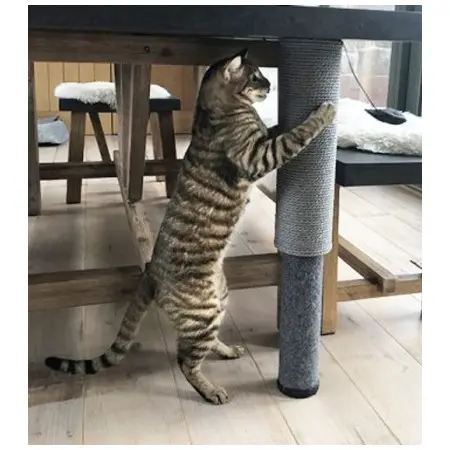 Klicka för större bild