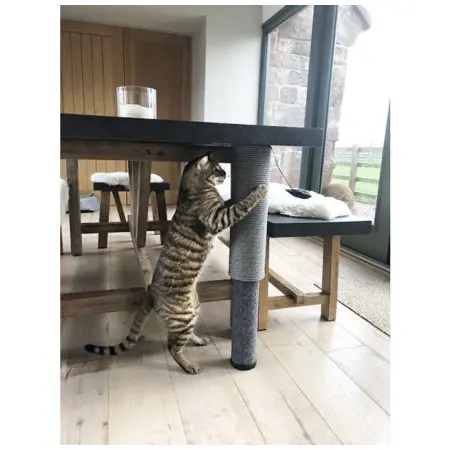 Klicka för större bild