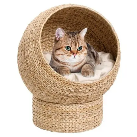 Klicka för större bild