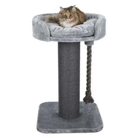 Klicka för större bild