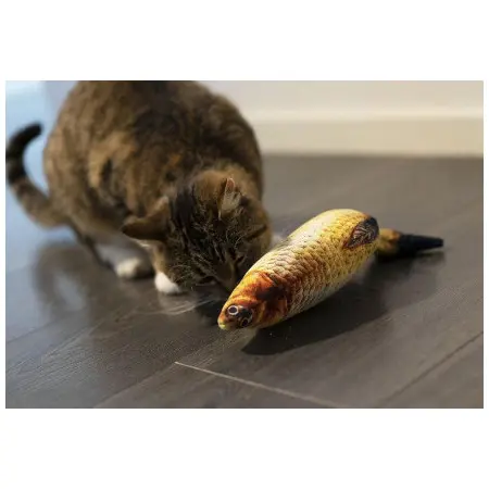 Klicka för större bild