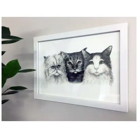 Klicka för större bild