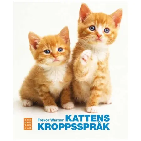 Klicka för större bild