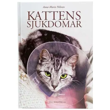 Klicka för större bild