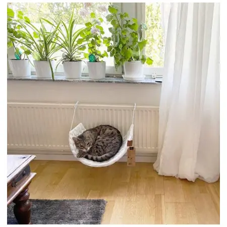 Klicka för större bild