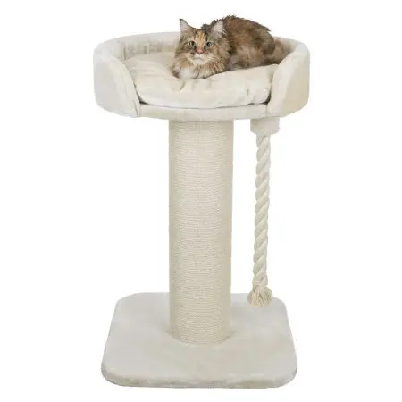 Klicka för större bild