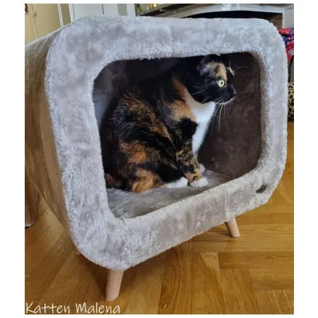 Klicka för större bild