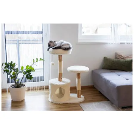 Klicka för större bild