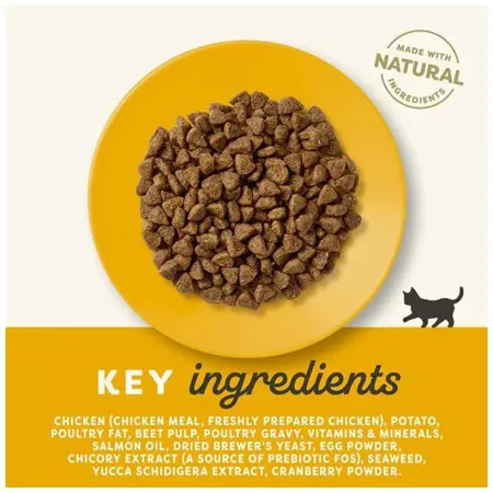 Klicka för större bild