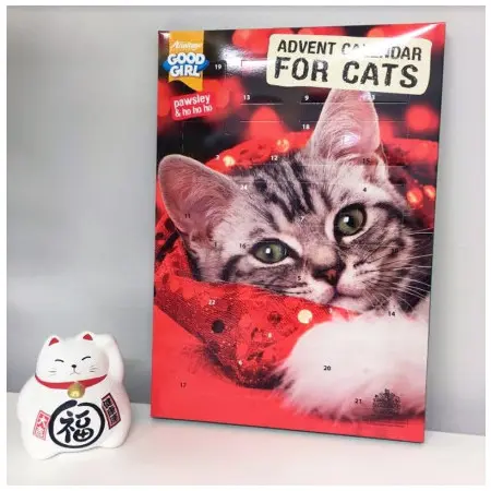 Klicka för större bild