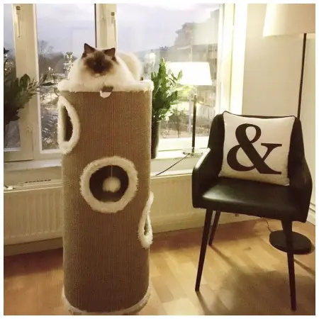 Klicka för större bild