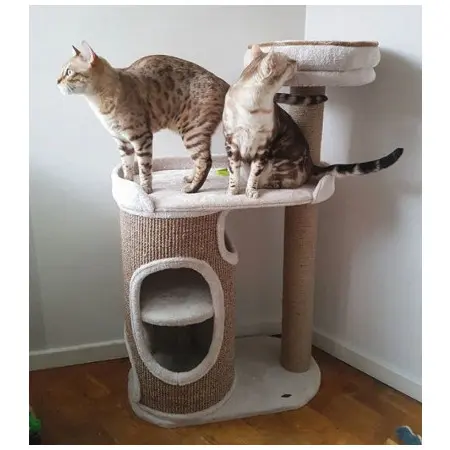 Klicka för större bild