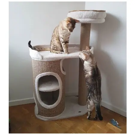 Klicka för större bild