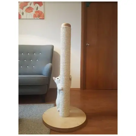 Klicka för större bild