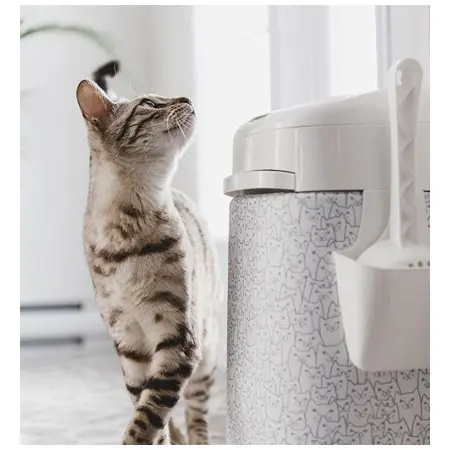 Klicka för större bild