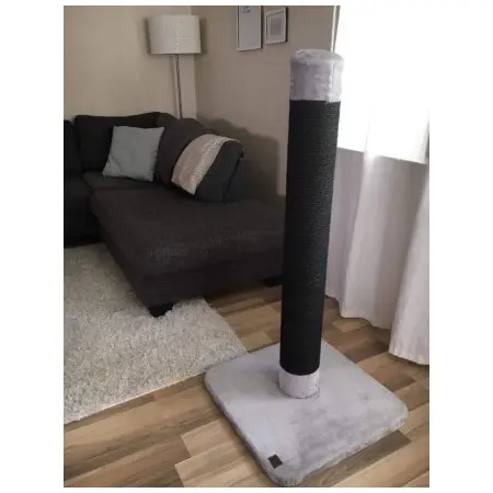 Klicka för större bild
